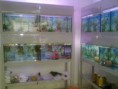 /album/balik-%c3%a7e%c5%9fitleri/a280520122945-jpg/