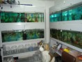 /album/balik-%c3%a7e%c5%9fitleri/dsc01606-jpg/