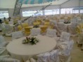 /album/foto%c4%9fraflar%3a-du%c4%9fun-ve-nikah-organizasyon/a922705-485805171498065-1432917346-n-jpg/